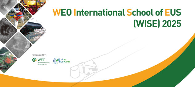 WEO International School of EUS (WISE) 2025